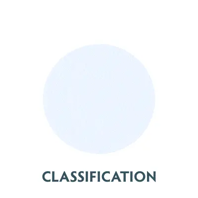 Classification